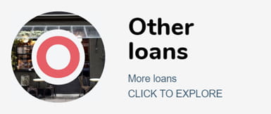 Other loans