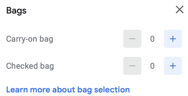 Google Flights Bags